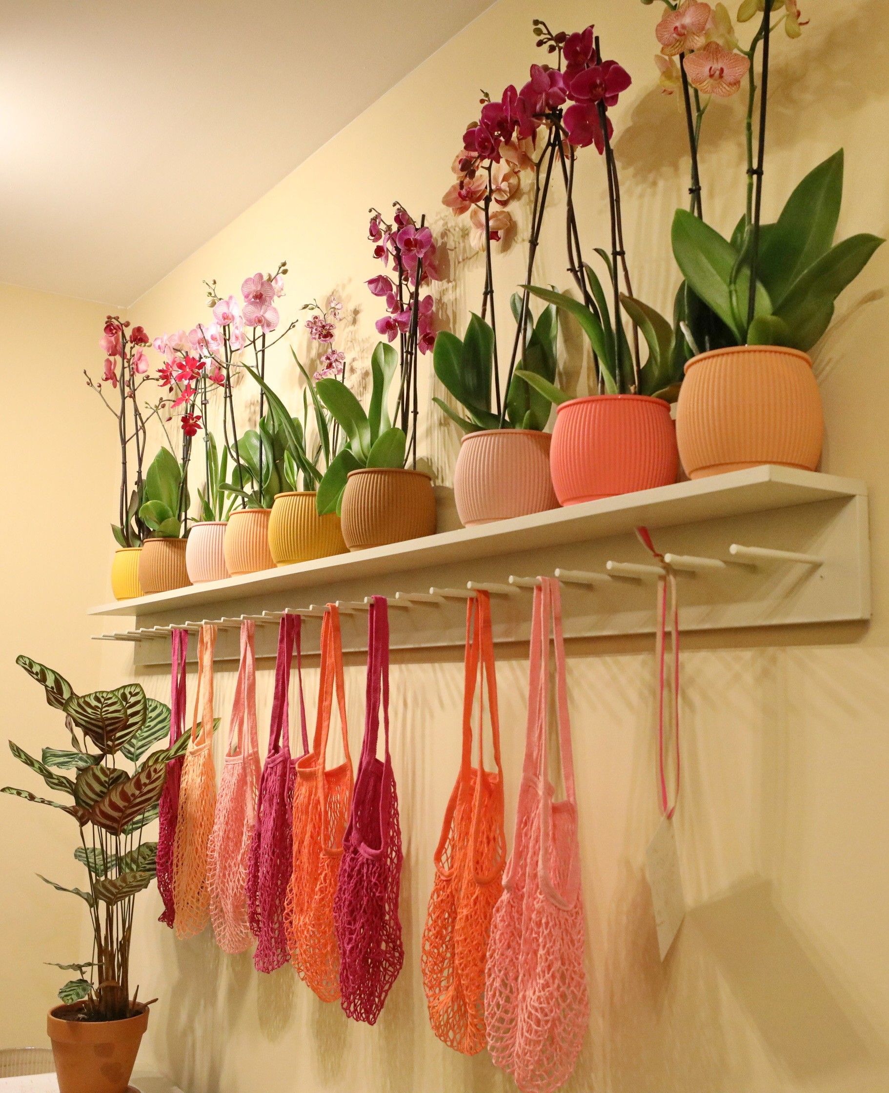 Foto: Regal mit Blumen und Taschen