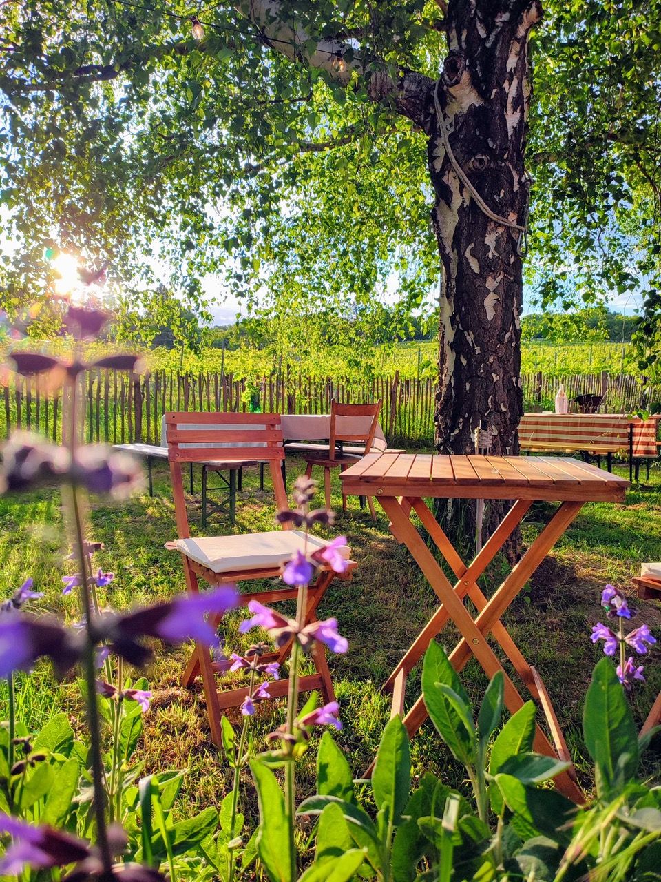 Foto: Eichhorn Winery 