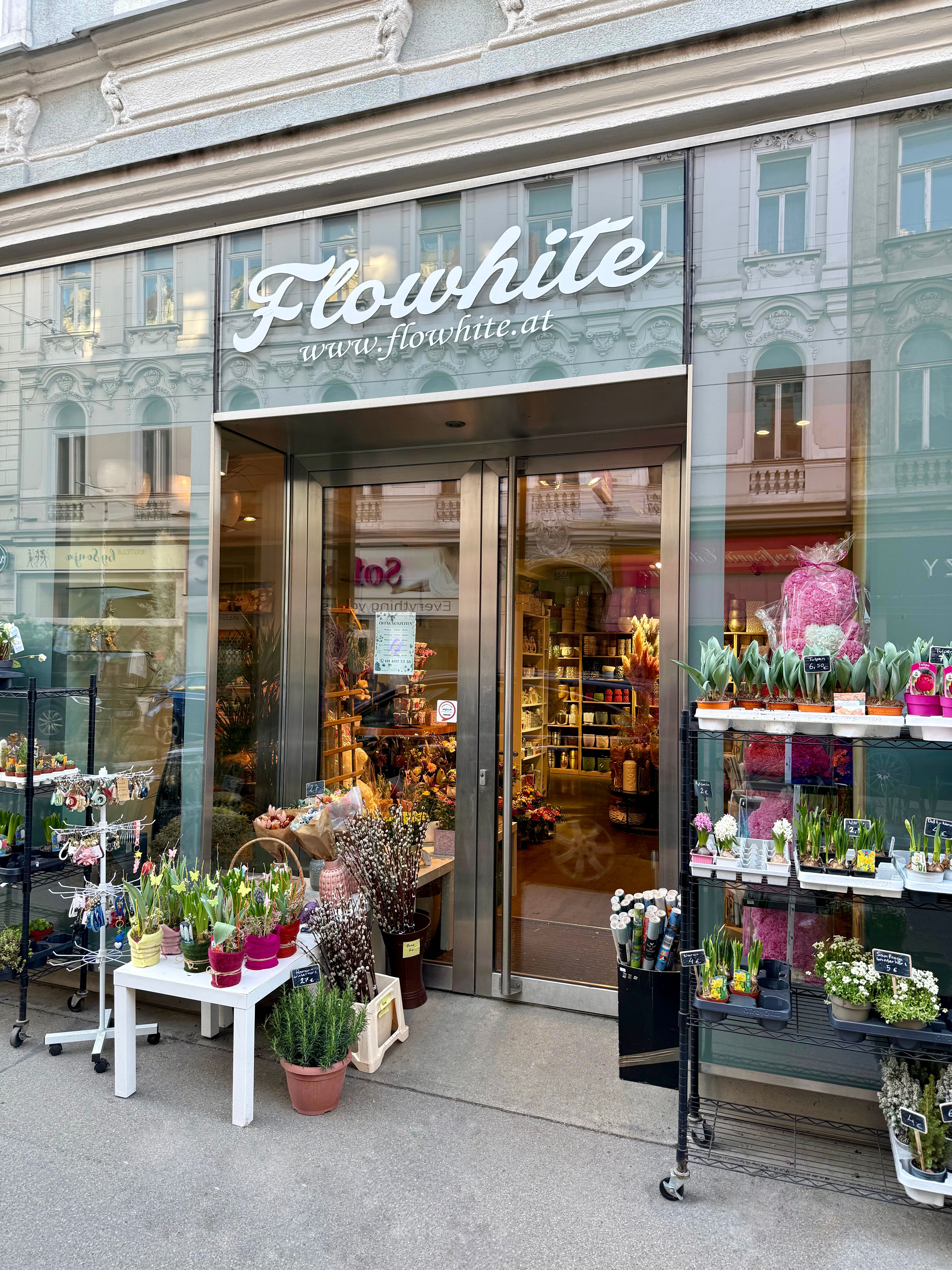 Foto: Blumen Flowhite 