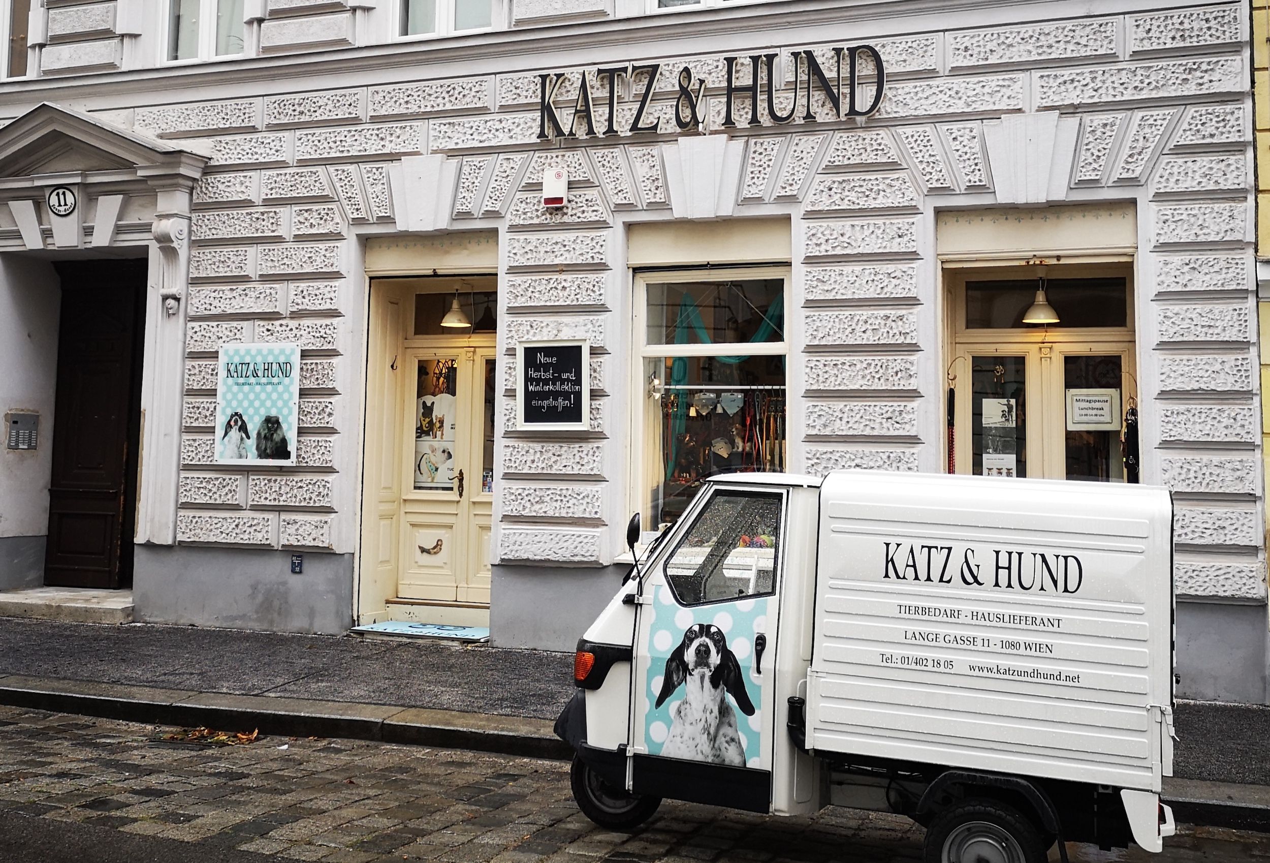 Foto: Katz & Hund
