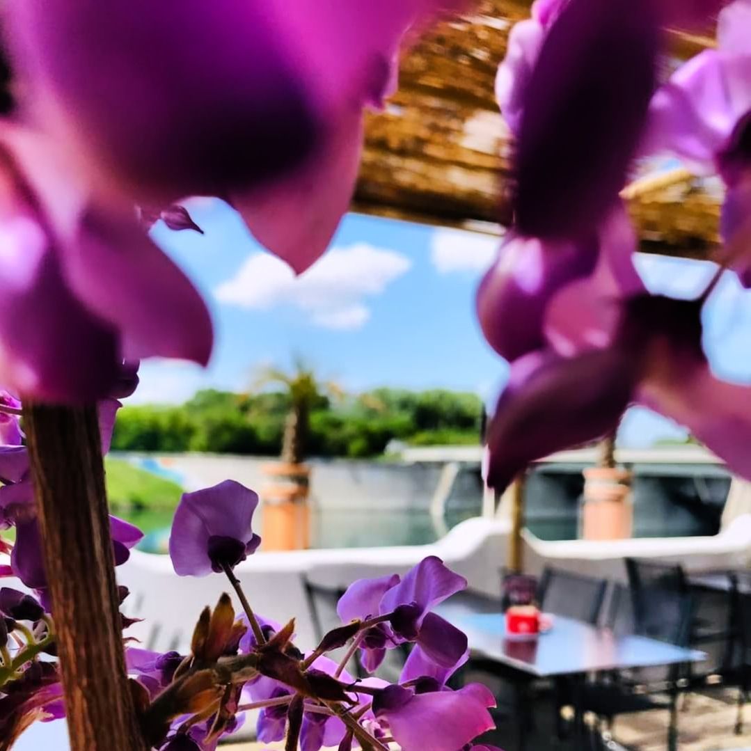 Foto: Inseltreff Barbados