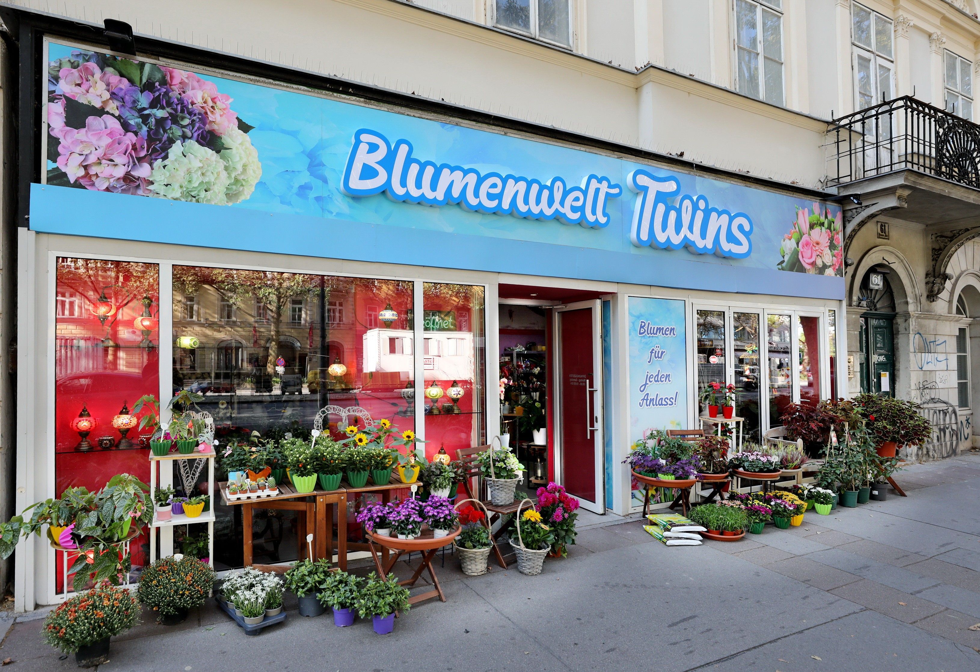 Foto: Außenbereich von Blumenwelt Twins mit vielen bunten Blumen und Grünpflanzen