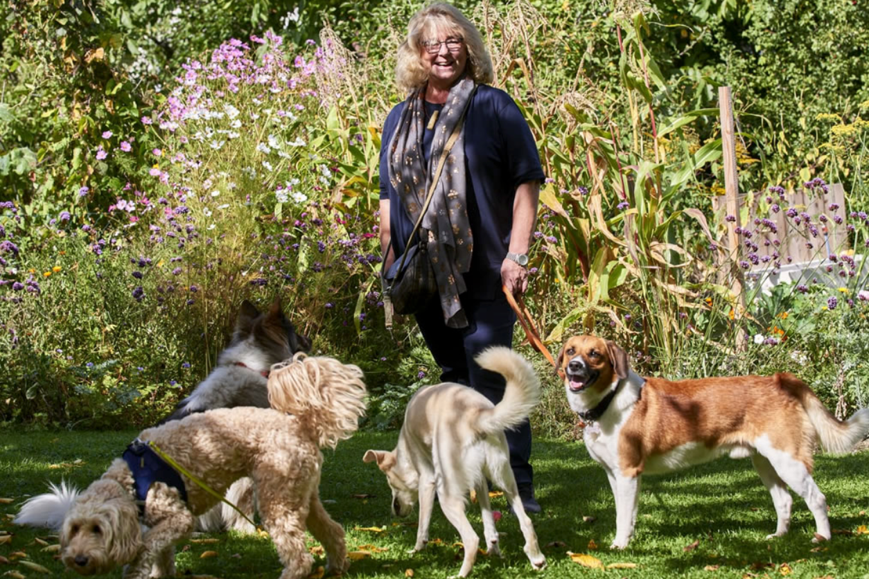 Foto: Eine Frau mit mehreren Hunden