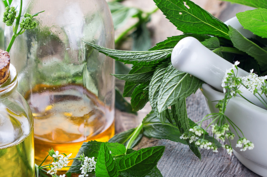 Foto: Ein Tisch mit frischen Kräutern, Ölfläschen und einem Mörser