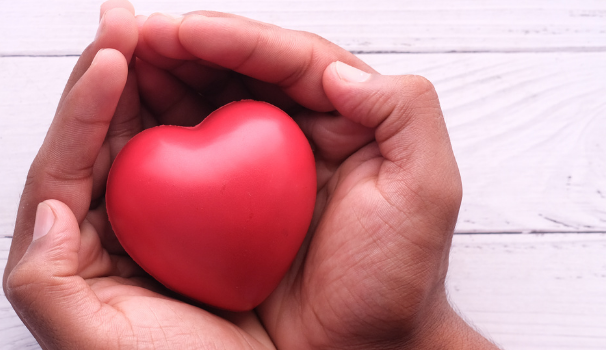 Foto: Ein Plastik-Herz in den Händen einer Person