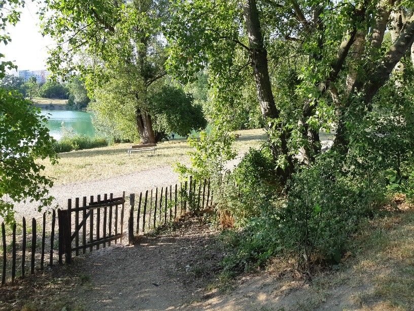 Foto: Ein Holzzaun, Bäume und ein Weg