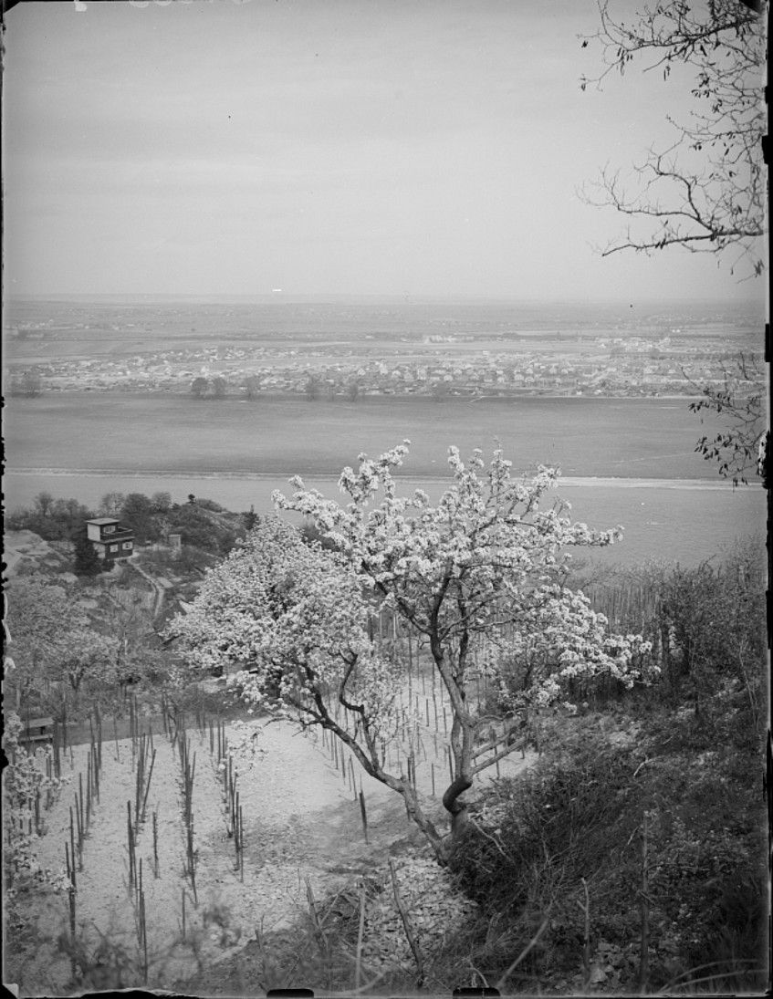 Foto: Jedlesee früher