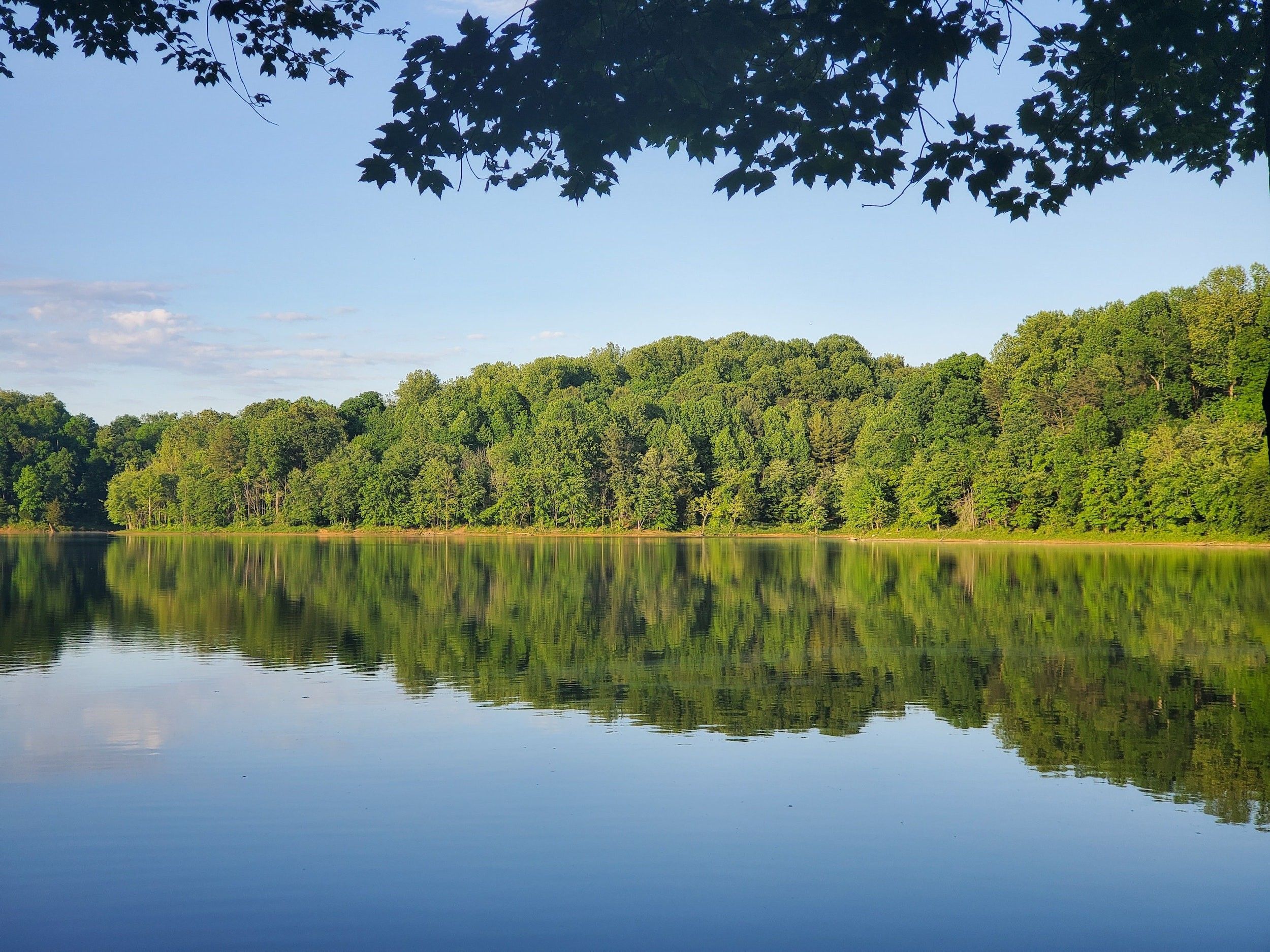 Foto: Zeigt die Gewässer der Lobau