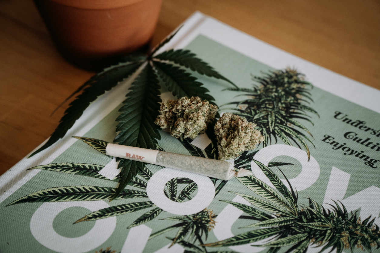 Foto: CBD Blätter und ein Joint