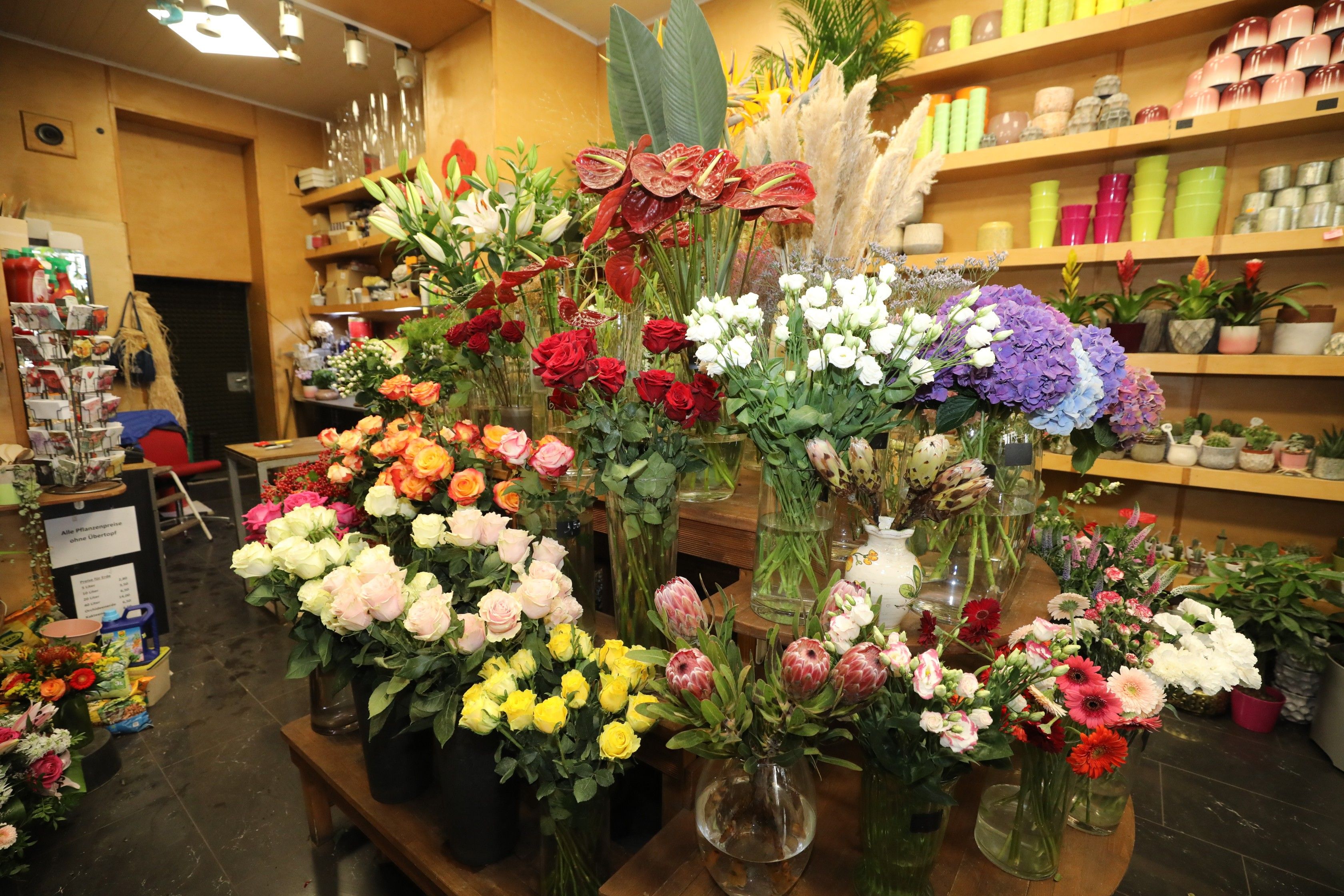 Foto: Verkaufsraum von Space Flower mit vielen Blumen und Blumentöpfen
