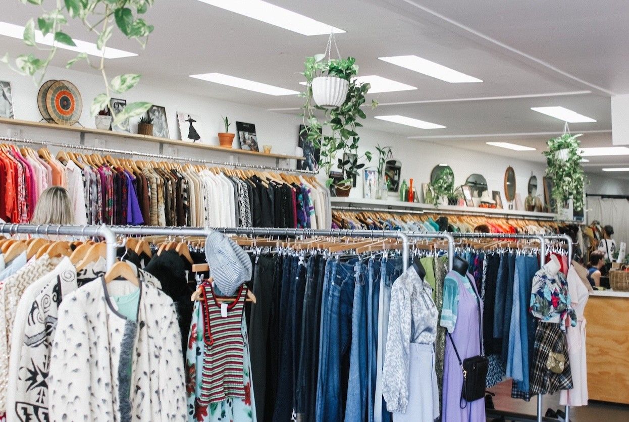 Foto: Vinzi-Shop Innenraum